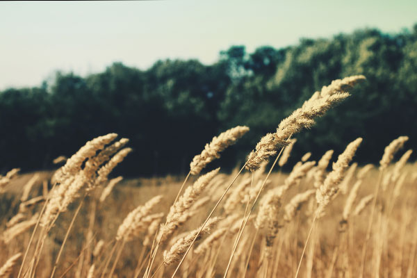 ddos在线压力测试平台